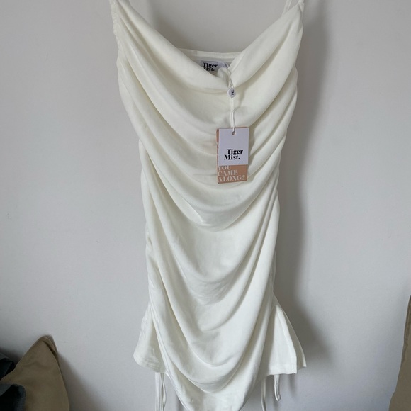 Tiger Mist Dress - Picture 2 of 4